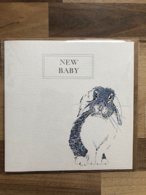 New Baby Blue Bunny